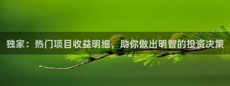 小羊没烦恼黑料：独家：热门项目收益明细，