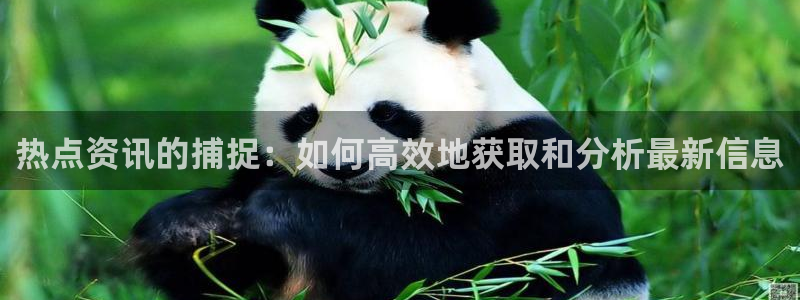 “黑料不打烊软件：热点资讯的捕捉：如何高效